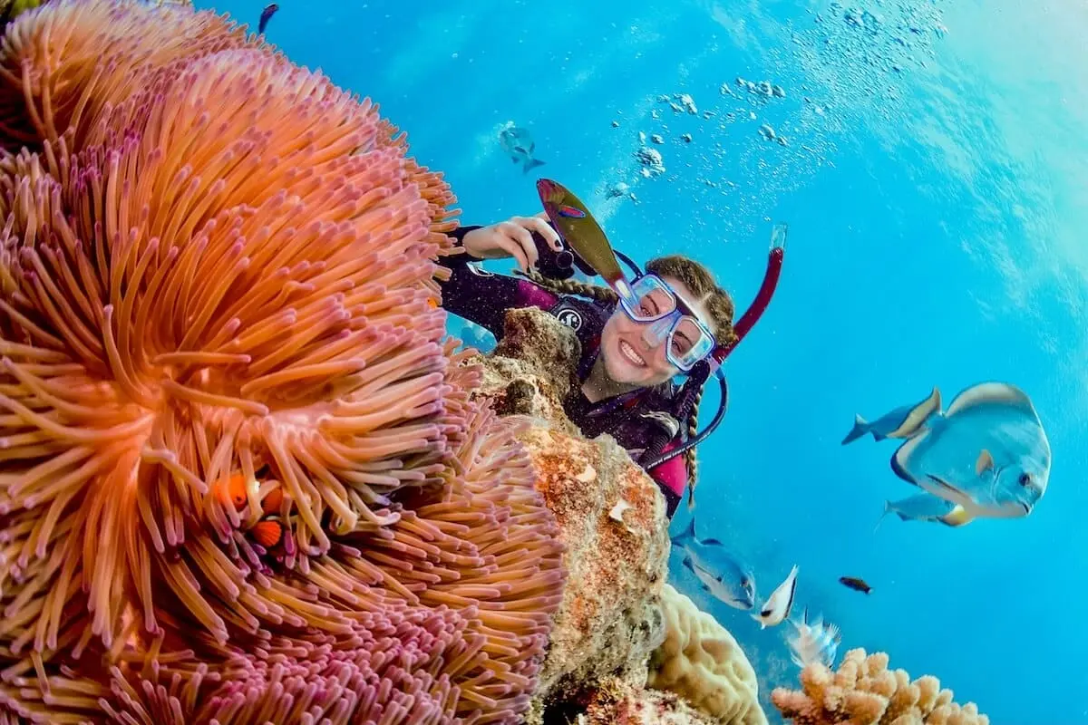 Great Barrier Reef Scuba Diving